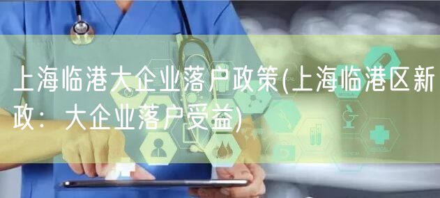 上海临港大企业落户政策(上海临港区新政：大企业落户受益)