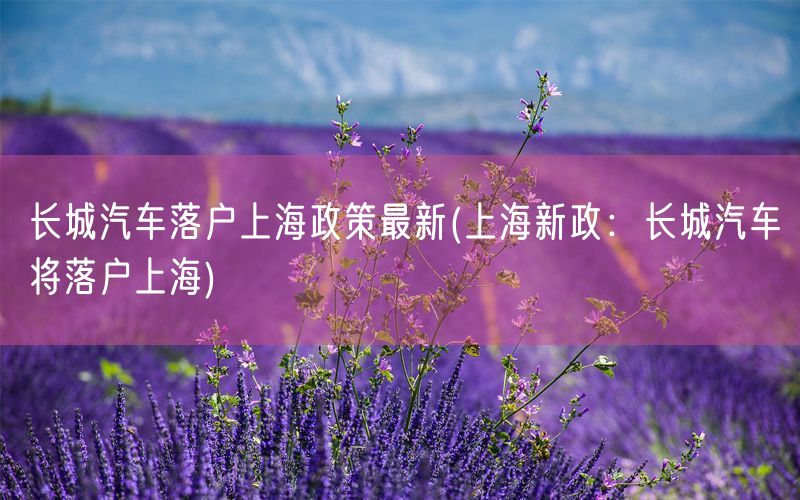 长城汽车落户上海政策最新(上海新政：长城汽车将落户上海)