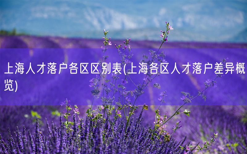 上海人才落户各区区别表(上海各区人才落户差异概览)