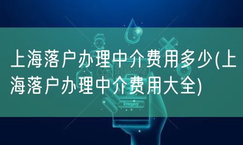 上海落户办理中介费用多少(上海落户办理中介费用大全)