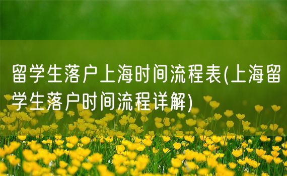 留学生落户上海时间流程表(上海留学生落户时间流程详解)