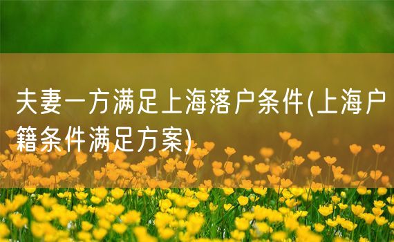 夫妻一方满足上海落户条件(上海户籍条件满足方案)