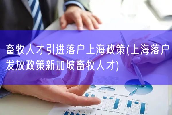 畜牧人才引进落户上海政策(上海落户发放政策新加坡畜牧人才)