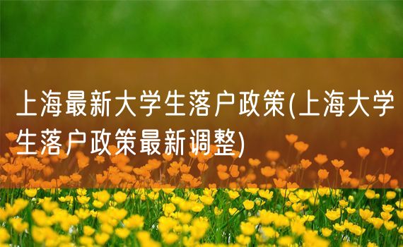 上海最新大学生落户政策(上海大学生落户政策最新调整)