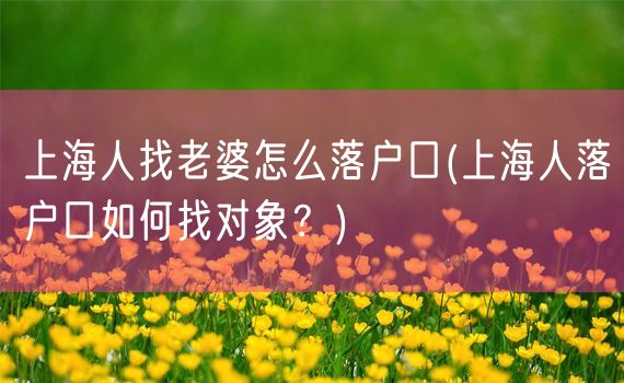 上海人找老婆怎么落户口(上海人落户口如何找对象？)