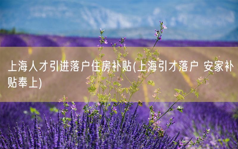上海人才引进落户住房补贴(上海引才落户 安家补贴奉上)
