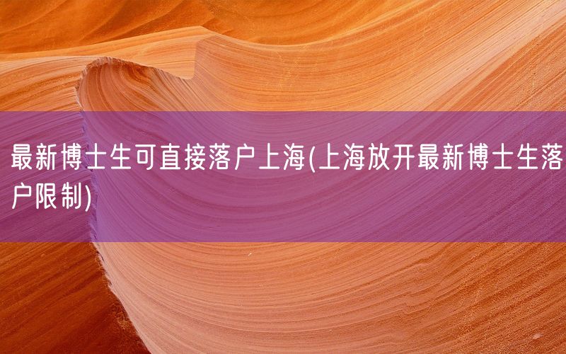 最新博士生可直接落户上海(上海放开最新博士生落户限制)