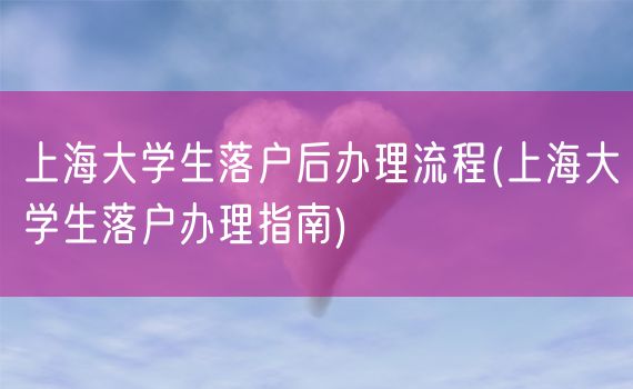 上海大学生落户后办理流程(上海大学生落户办理指南)