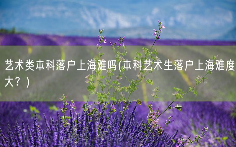 艺术类本科落户上海难吗(本科艺术生落户上海难度大？)