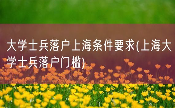 大学士兵落户上海条件要求(上海大学士兵落户门槛)