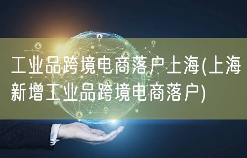 工业品跨境电商落户上海(上海新增工业品跨境电商落户)