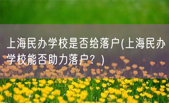上海民办学校是否给落户(上海民办学校能否助力落户？)