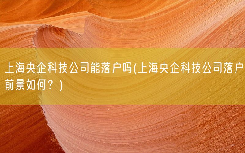 上海央企科技公司能落户吗(上海央企科技公司落户前景如何？)