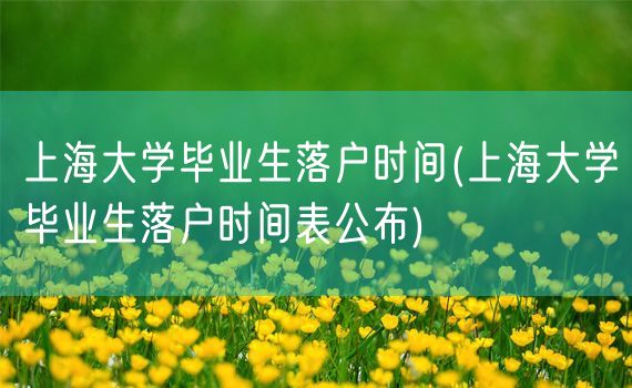 上海大学毕业生落户时间(上海大学毕业生落户时间表公布)