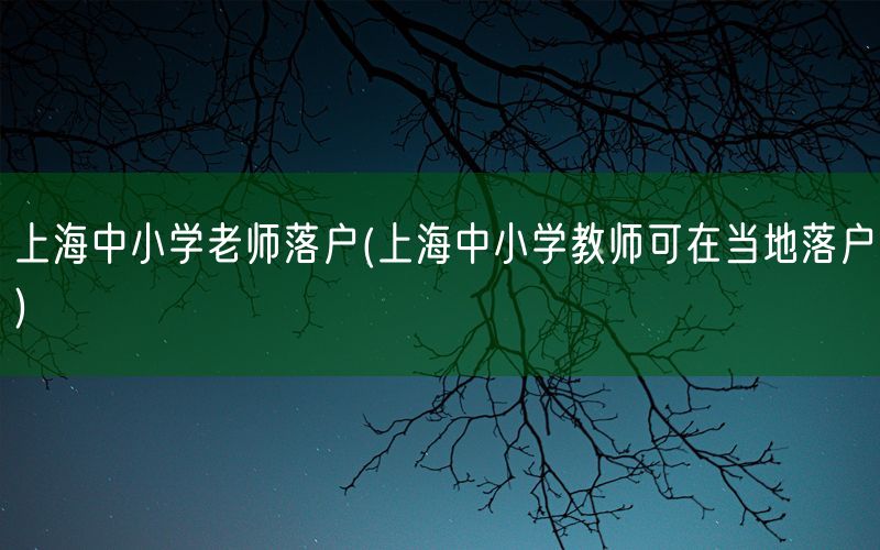 上海中小学老师落户(上海中小学教师可在当地落户)