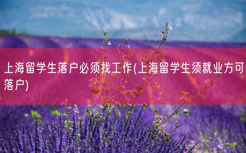 上海留学生落户必须找工作(上海留学生须就业方可落户)
