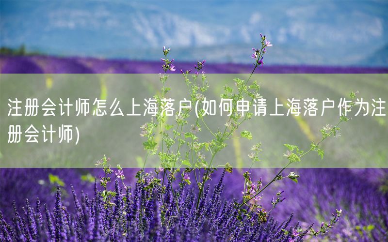 注册会计师怎么上海落户(如何申请上海落户作为注册会计师)