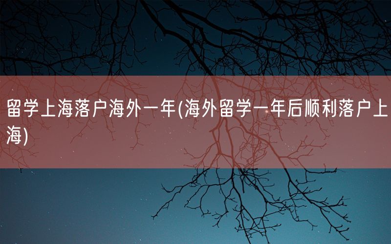 留学上海落户海外一年(海外留学一年后顺利落户上海)