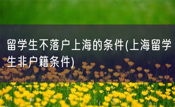 留学生不落户上海的条件(上海留学生非户籍条件)