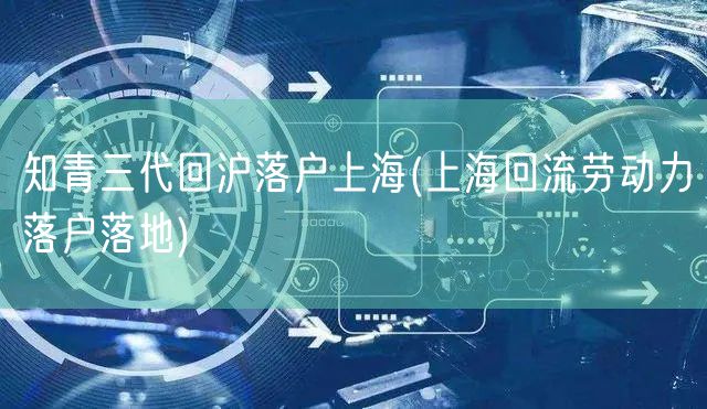 知青三代回沪落户上海(上海回流劳动力落户落地)