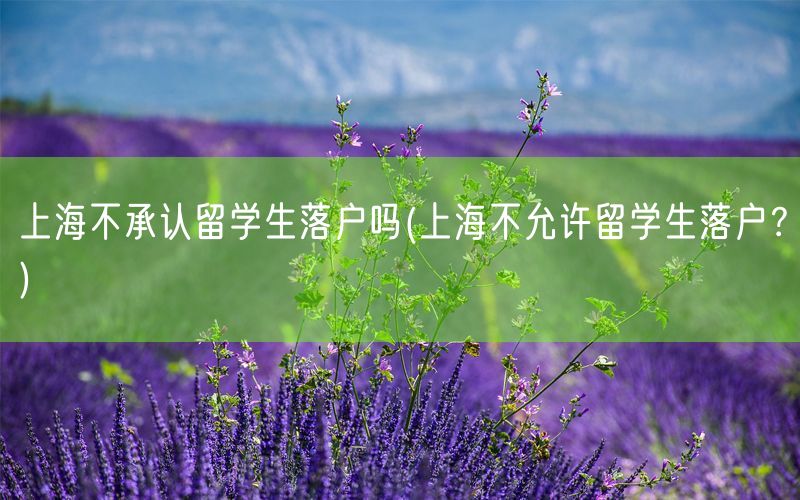上海不承认留学生落户吗(上海不允许留学生落户？)