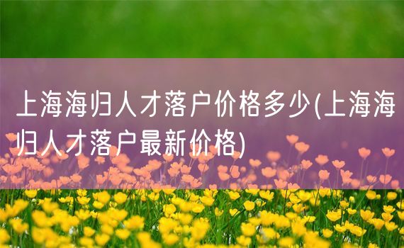 上海海归人才落户价格多少(上海海归人才落户最新价格)