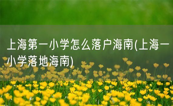 上海第一小学怎么落户海南(上海一小学落地海南)
