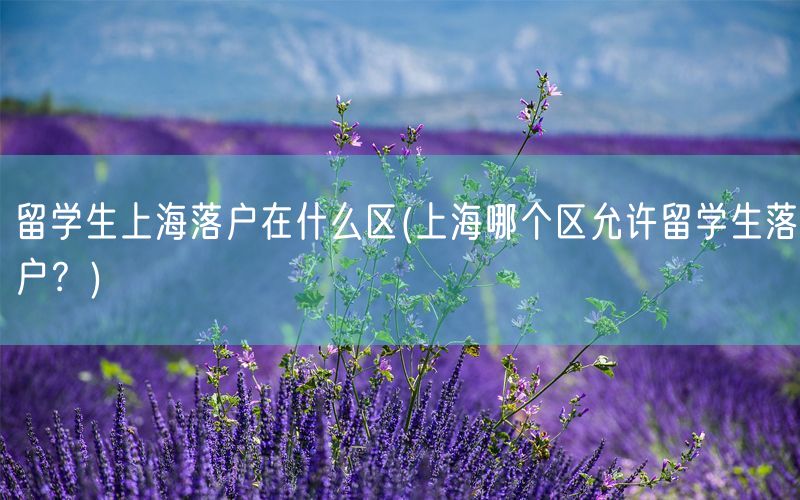 留学生上海落户在什么区(上海哪个区允许留学生落户？)