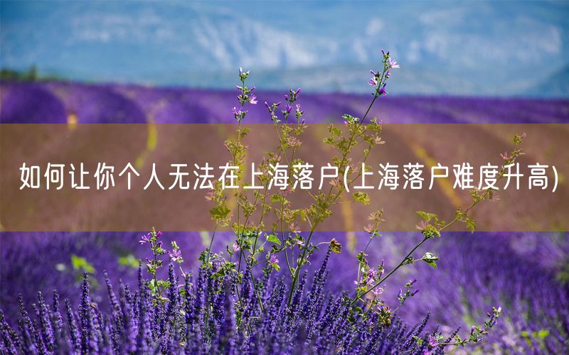 如何让你个人无法在上海落户(上海落户难度升高)