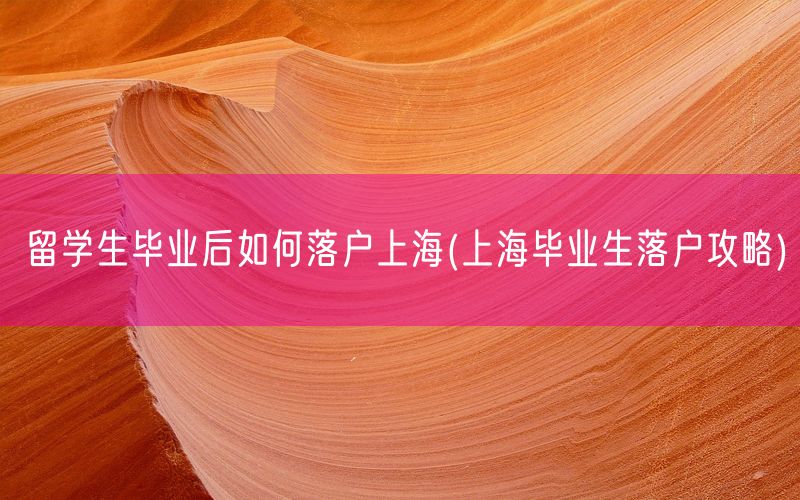 留学生毕业后如何落户上海(上海毕业生落户攻略)