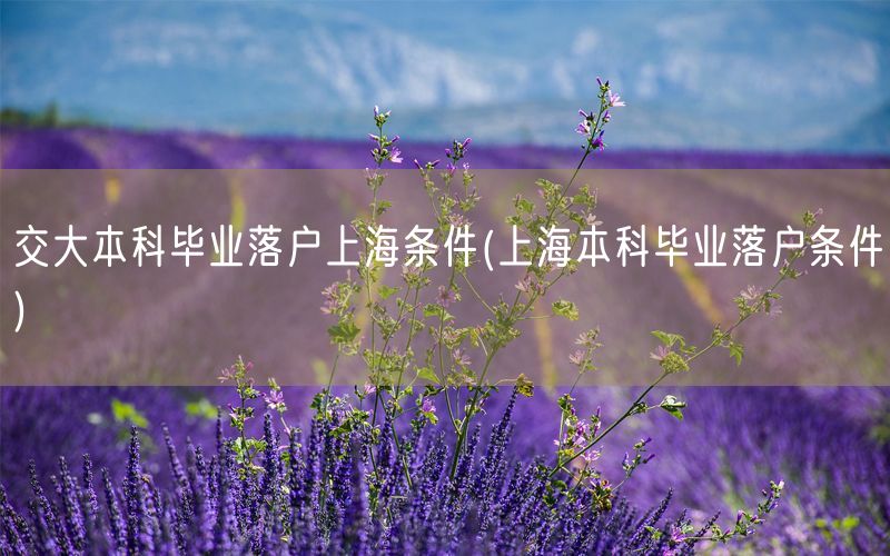 交大本科毕业落户上海条件(上海本科毕业落户条件)