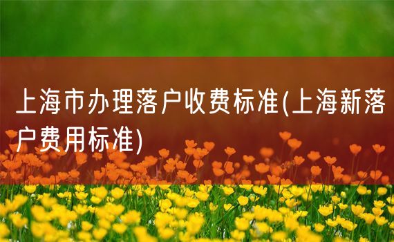 上海市办理落户收费标准(上海新落户费用标准)