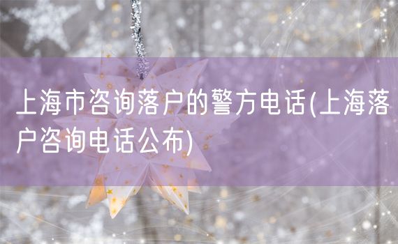 上海市咨询落户的警方电话(上海落户咨询电话公布)