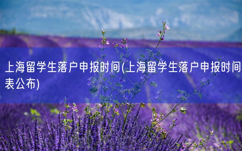 上海留学生落户申报时间(上海留学生落户申报时间表公布)
