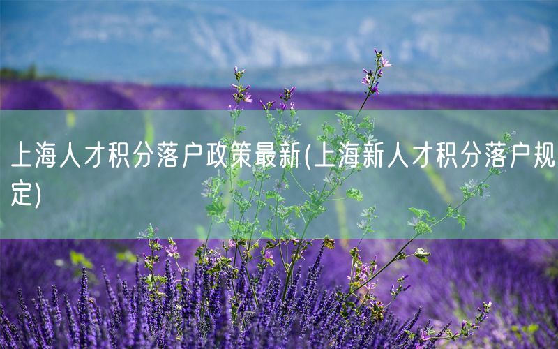 上海人才积分落户政策最新(上海新人才积分落户规定)