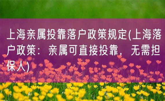 上海亲属投靠落户政策规定(上海落户政策：亲属可直接投靠，无需担保人)