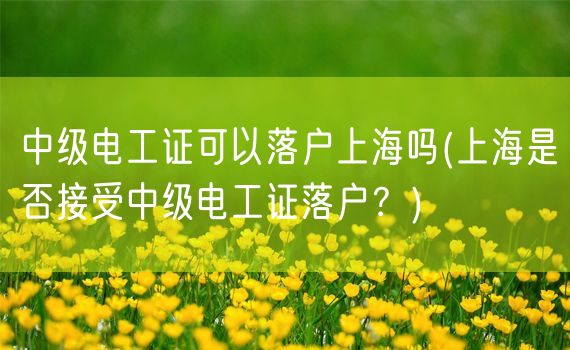 中级电工证可以落户上海吗(上海是否接受中级电工证落户？)