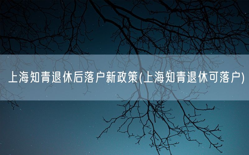 上海知青退休后落户新政策(上海知青退休可落户)
