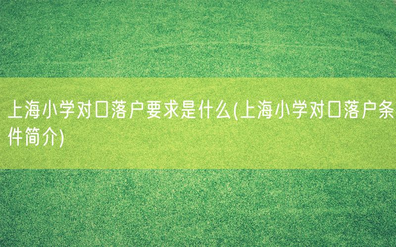 上海小学对口落户要求是什么(上海小学对口落户条件简介)