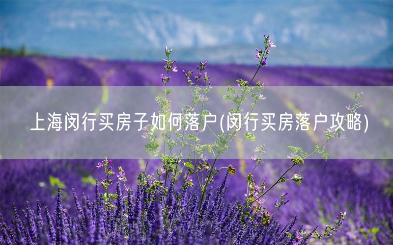 上海闵行买房子如何落户(闵行买房落户攻略)