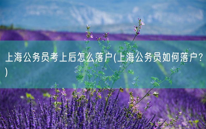 上海公务员考上后怎么落户(上海公务员如何落户？)