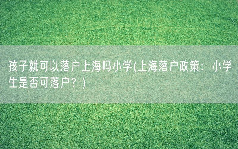 孩子就可以落户上海吗小学(上海落户政策：小学生是否可落户？)