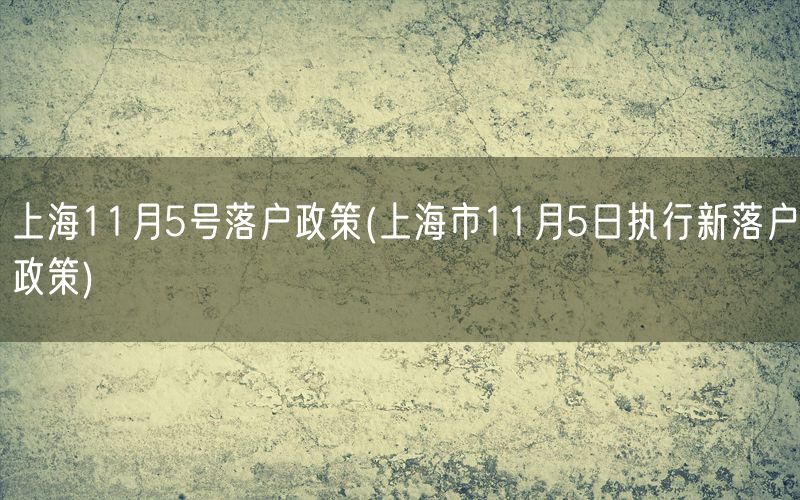 上海11月5号落户政策(上海市11月5日执行新落户政策)