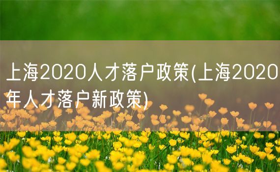 上海2020人才落户政策(上海2020年人才落户新政策)