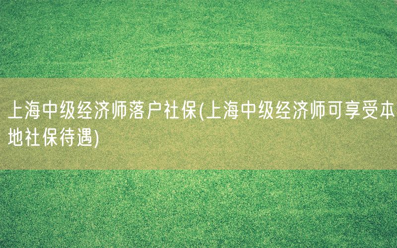 上海中级经济师落户社保(上海中级经济师可享受本地社保待遇)