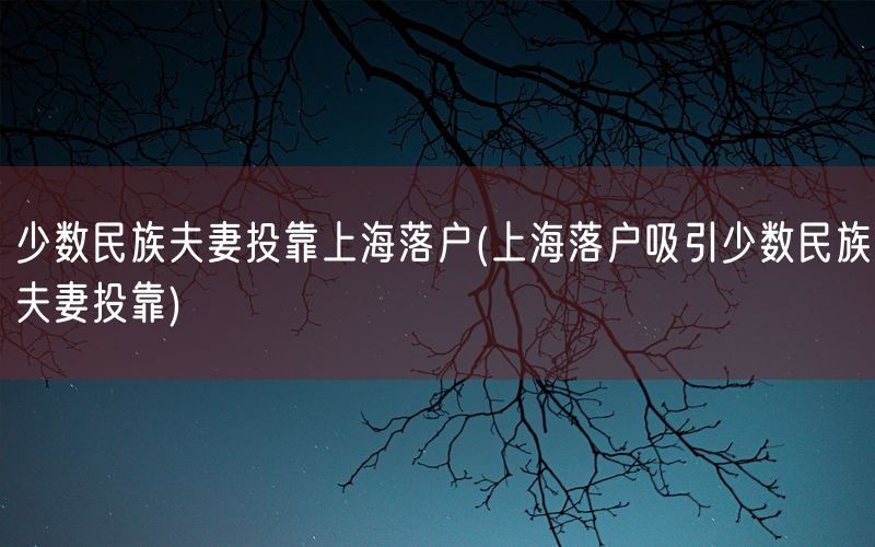 少数民族夫妻投靠上海落户(上海落户吸引少数民族夫妻投靠)