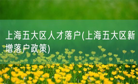 上海五大区人才落户(上海五大区新增落户政策)