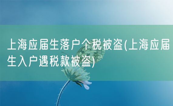 上海应届生落户个税被盗(上海应届生入户遇税款被盗)