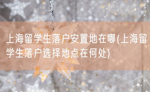 上海留学生落户安置地在哪(上海留学生落户选择地点在何处)