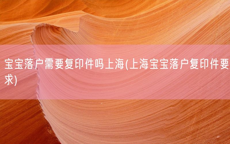 宝宝落户需要复印件吗上海(上海宝宝落户复印件要求)